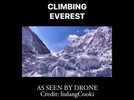 Building a Business is like Climbing Everest!